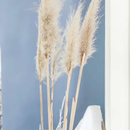 アパートホテル Alba 4*